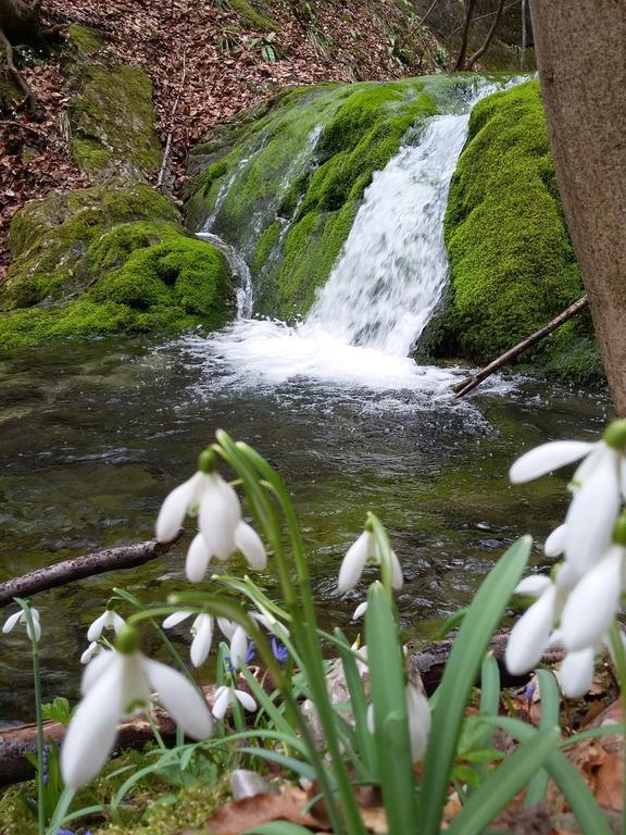 Pensiunea Piatra Graitoare Vartop Bagian luar foto
