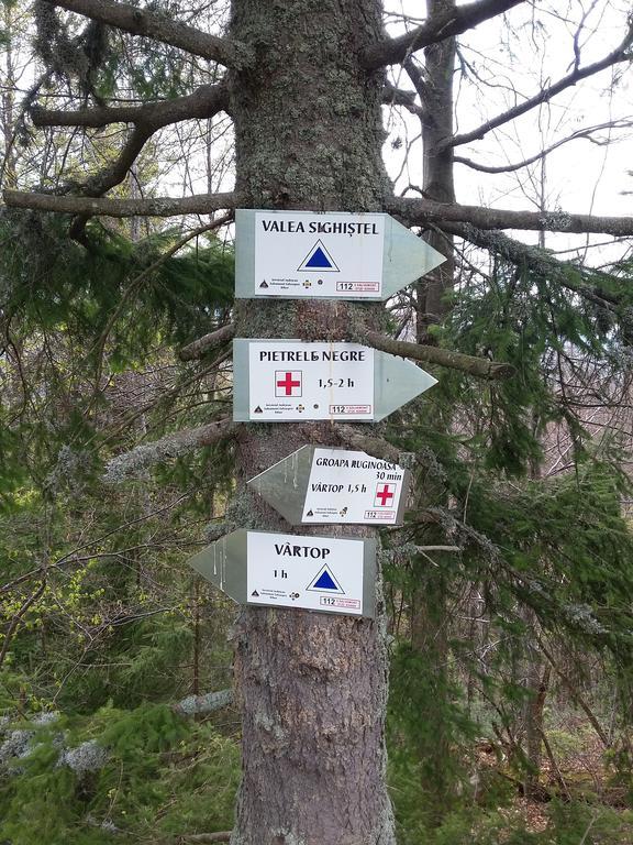 Pensiunea Piatra Graitoare Vartop Bagian luar foto