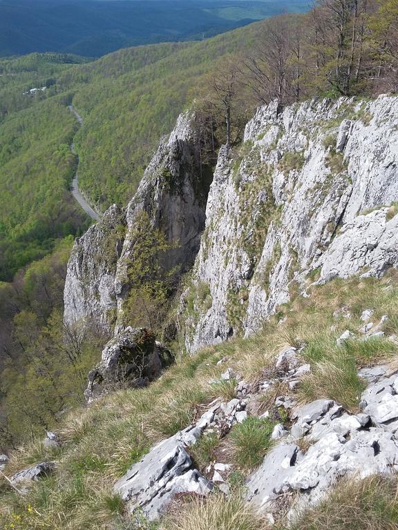 Pensiunea Piatra Graitoare Vartop Bagian luar foto