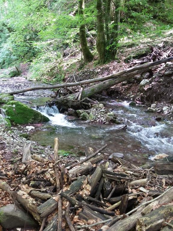 Pensiunea Piatra Graitoare Vartop Bagian luar foto