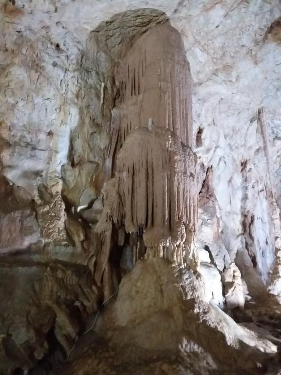 Pensiunea Piatra Graitoare Vartop Bagian luar foto