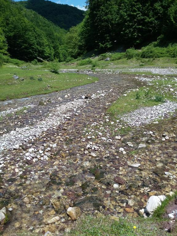 Pensiunea Piatra Graitoare Vartop Bagian luar foto