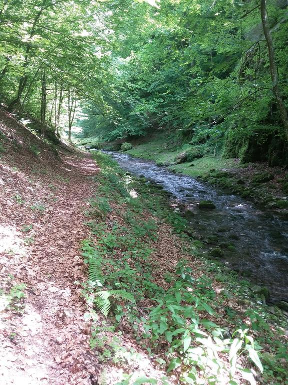 Pensiunea Piatra Graitoare Vartop Bagian luar foto