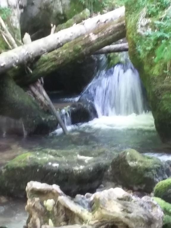 Pensiunea Piatra Graitoare Vartop Bagian luar foto