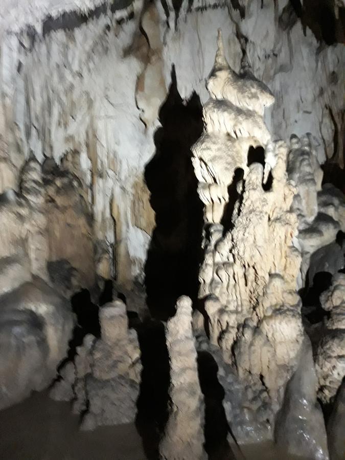 Pensiunea Piatra Graitoare Vartop Bagian luar foto