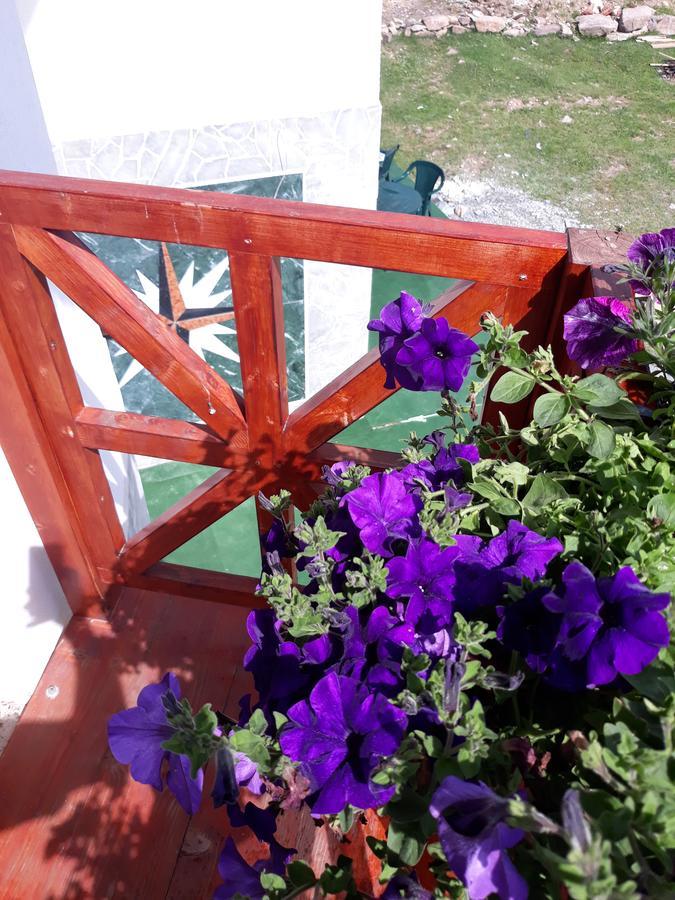 Pensiunea Piatra Graitoare Vartop Bagian luar foto
