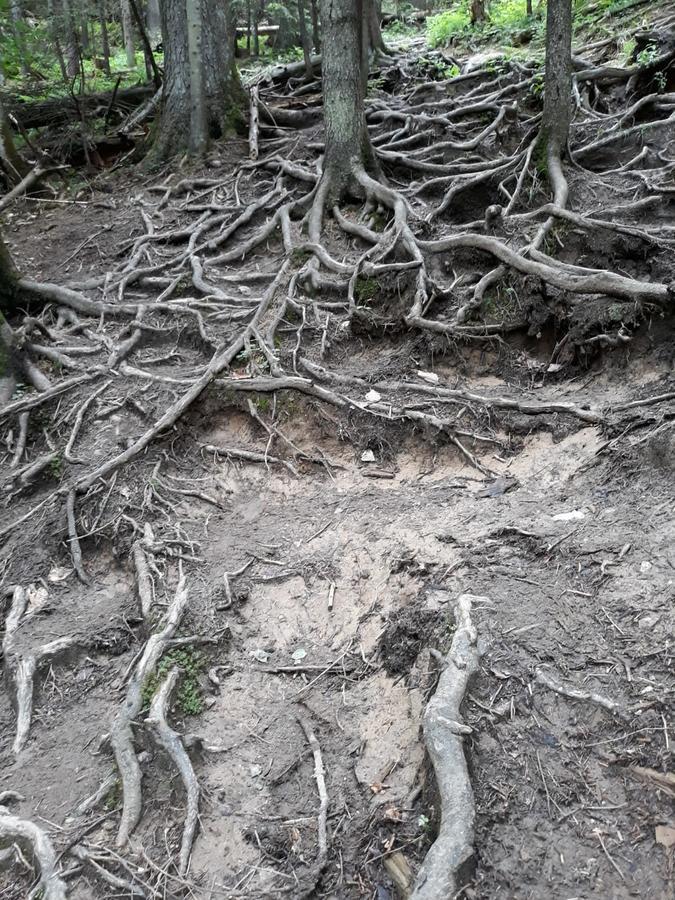 Pensiunea Piatra Graitoare Vartop Bagian luar foto